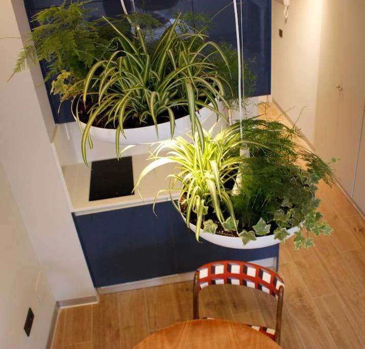 Apartamento Por Temporada Centro Diseno Madrid Exteriör bild