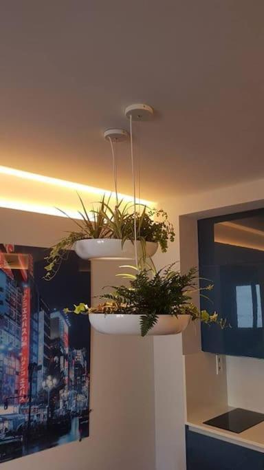 Apartamento Por Temporada Centro Diseno Madrid Exteriör bild