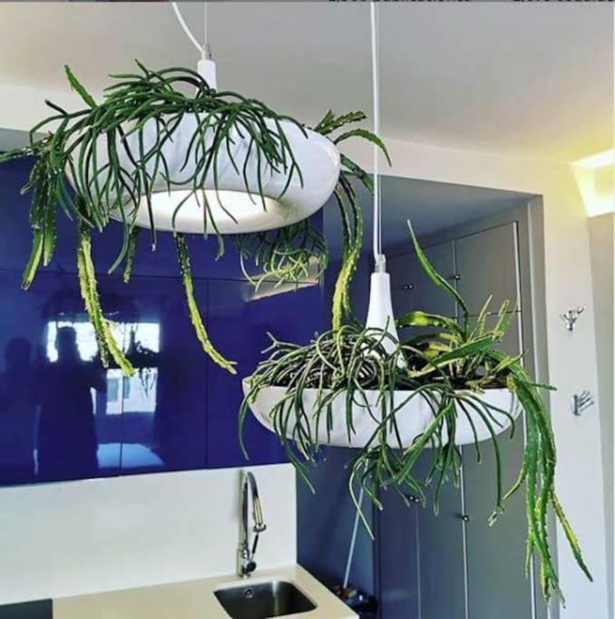 Apartamento Por Temporada Centro Diseno Madrid Exteriör bild